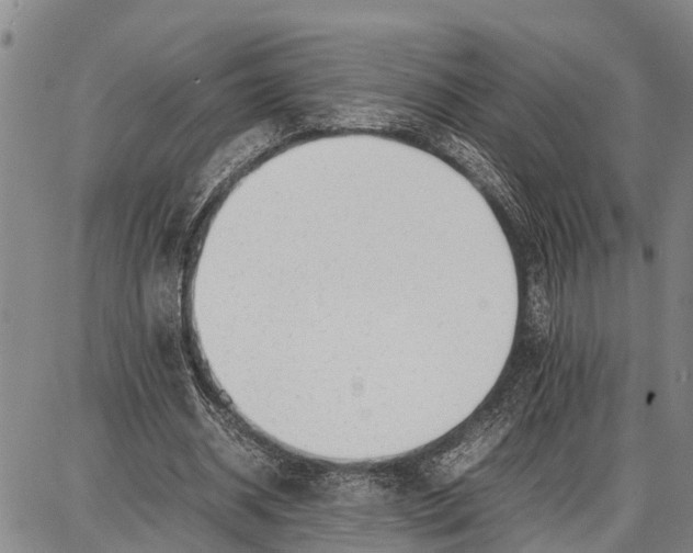 X0000087050534200705091138