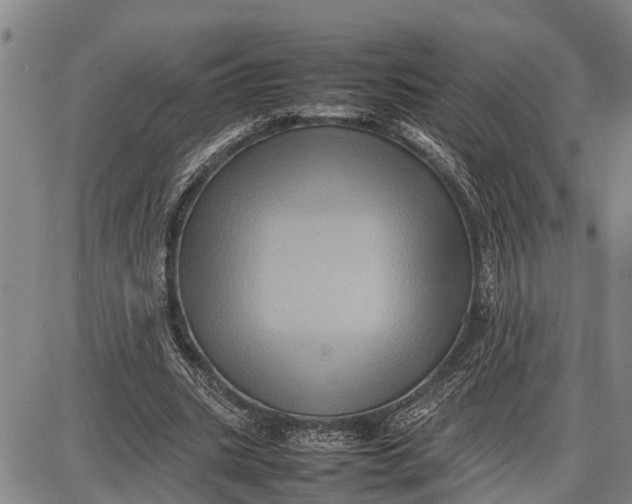 X0000087050535200705091138