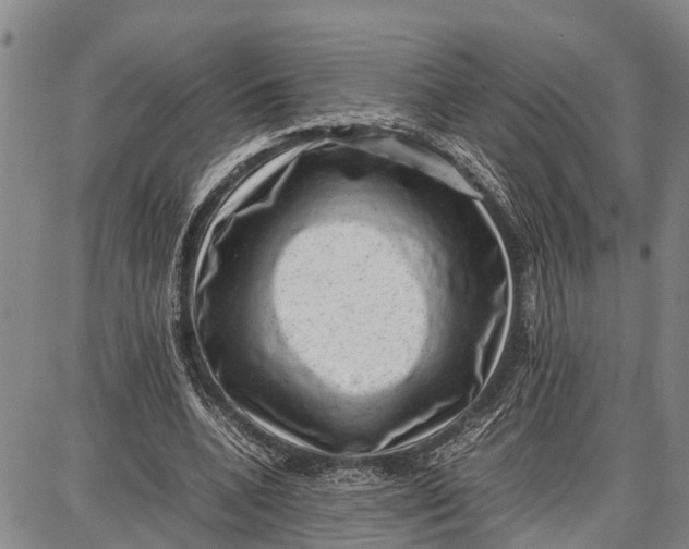 X0000087050536200705091138