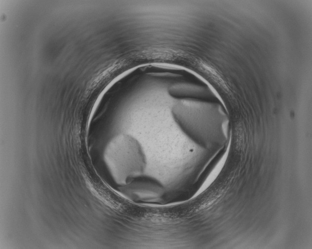 X0000087050538200705091138