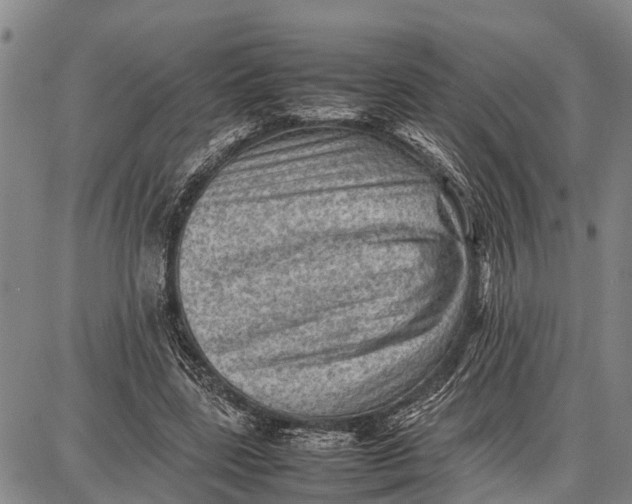 X0000087050539200705091138