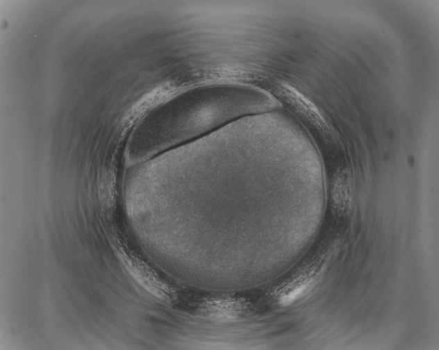 X0000087050540200705091138