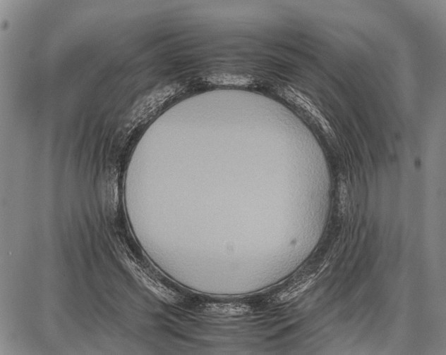 X0000087050541200705091138