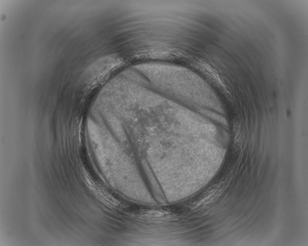 X0000087050542200705091138