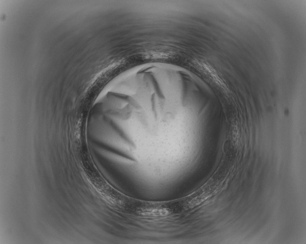 X0000087050543200705091138