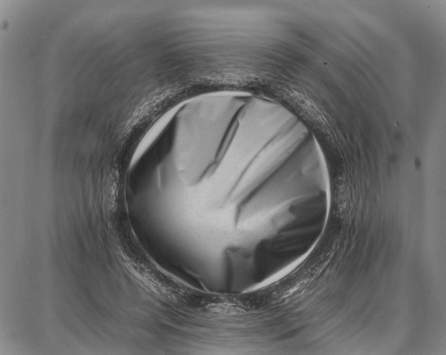 X0000087050544200705091138