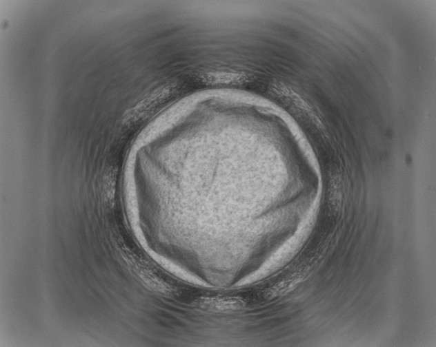 X0000087050545200705091138