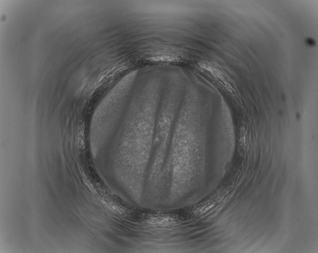 X0000087050547200705091138