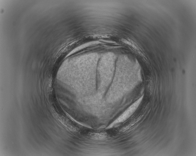 X0000087050548200705091138