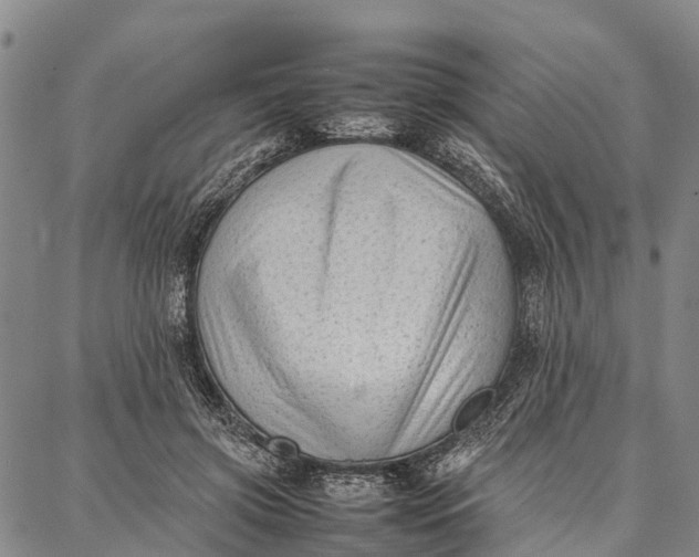 X0000087050549200705091138