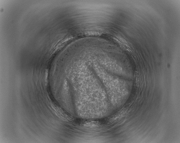 X0000087050550200705091138