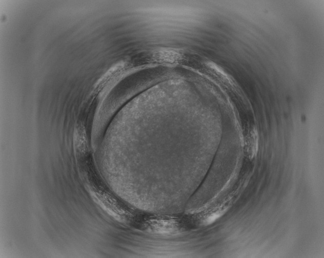 X0000087050552200705091138