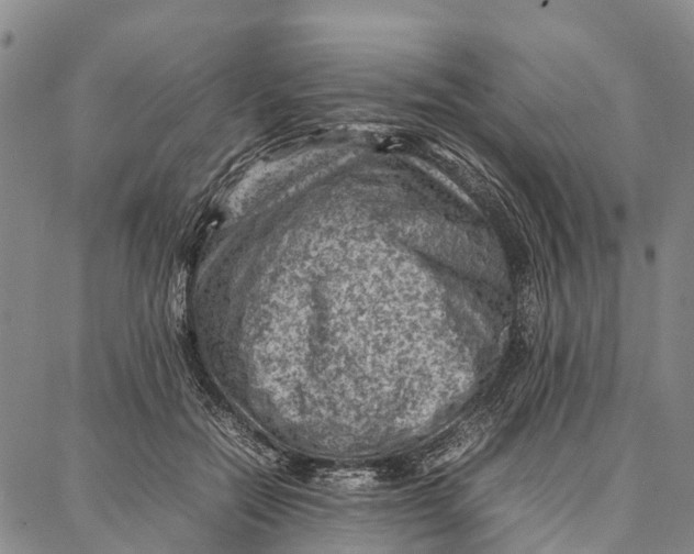 X0000087050554200705091138