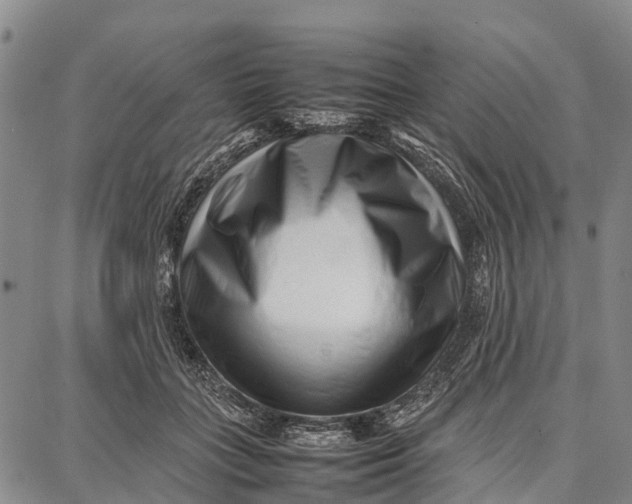 X0000087050555200705091138