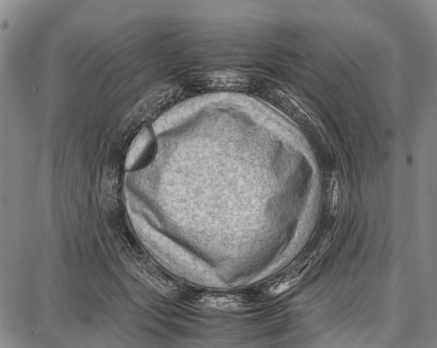 X0000087050557200705091138