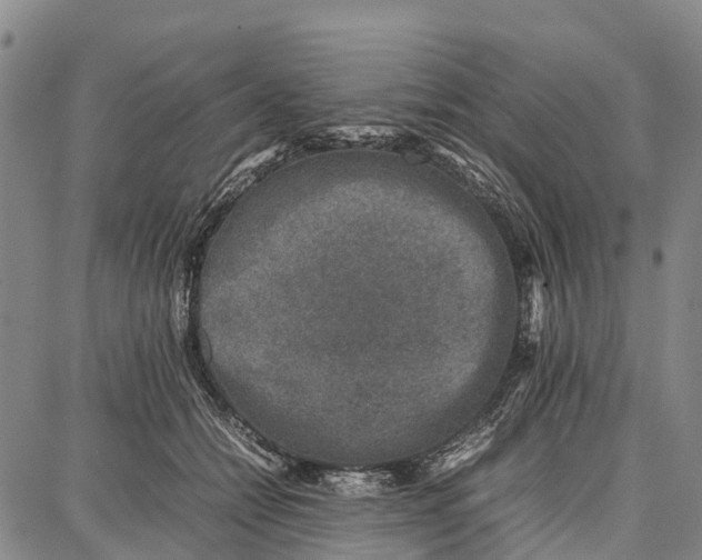 X0000087050558200705091138