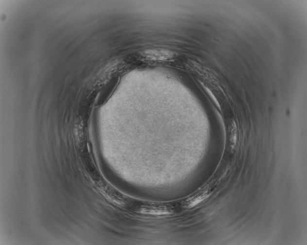 X0000087050559200705091138