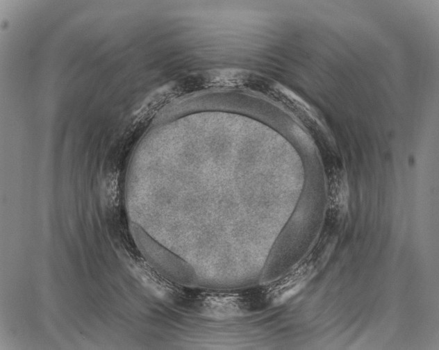 X0000087050560200705091138