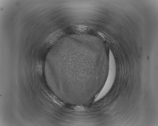 X0000087050562200705091138