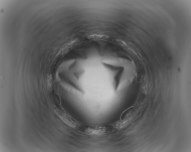 X0000087050563200705091138