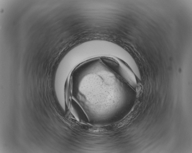 X0000087050564200705091138