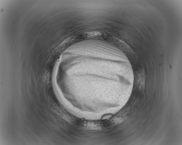 X0000087050565200705091138