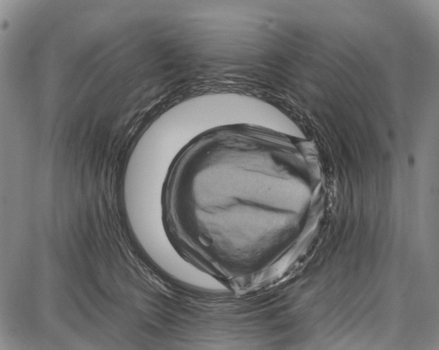 X0000087050566200705091138