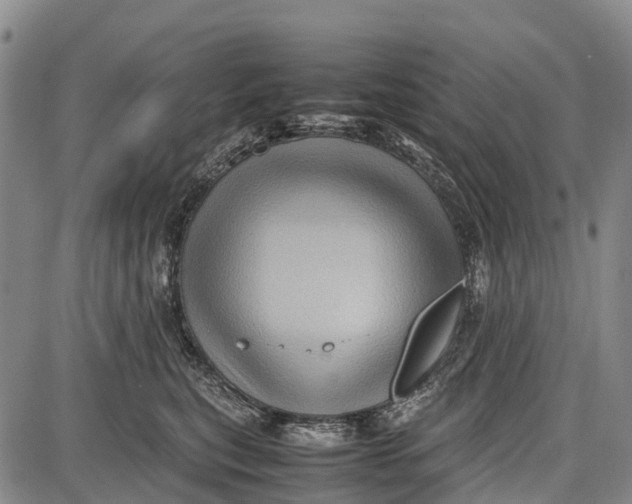 X0000087050567200705091138