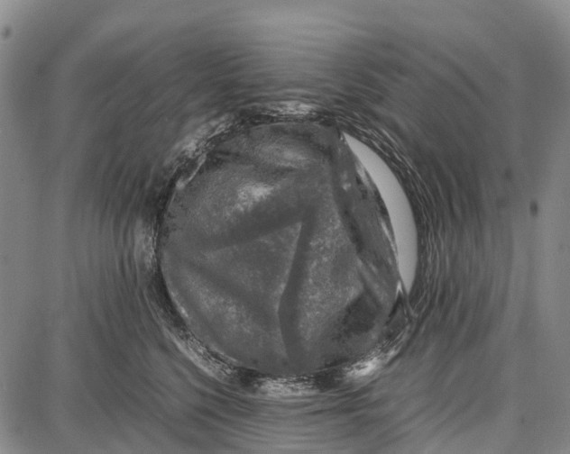 X0000087050568200705091138