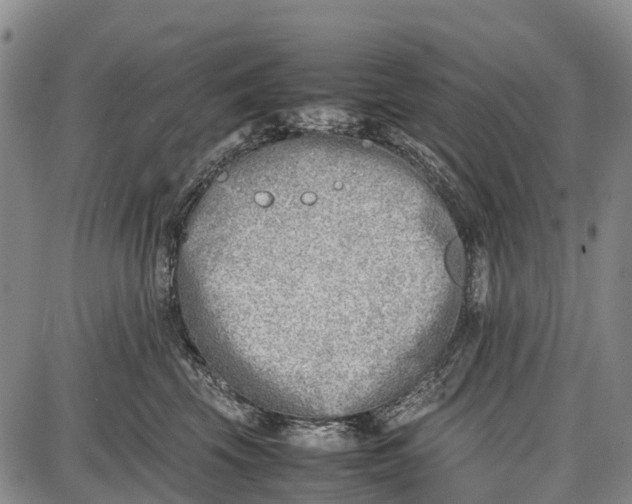 X0000087050569200705091138