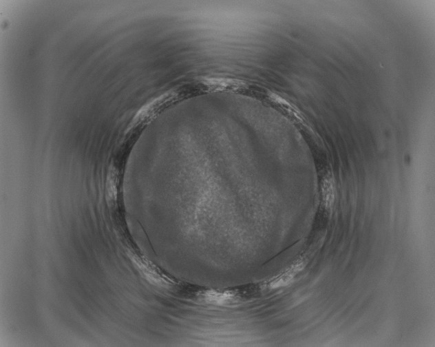 X0000087050570200705091138