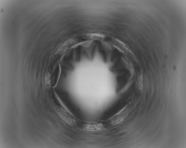 X0000087050571200705091138