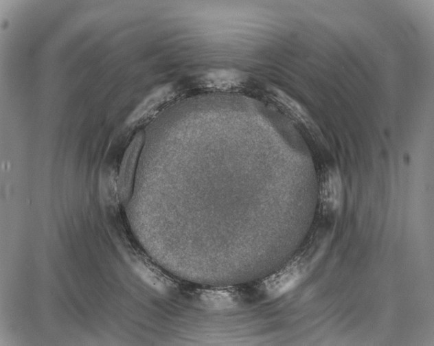 X0000087050572200705091138