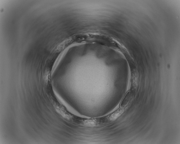 X0000087050574200705091138