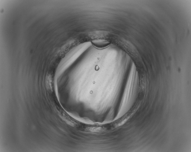 X0000087050575200705091139