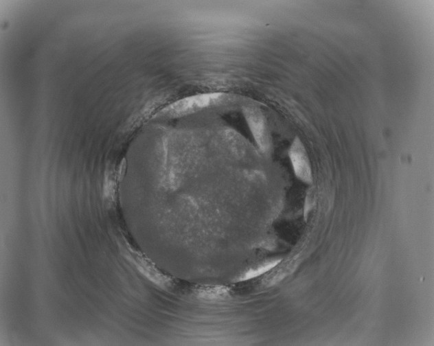 X0000087050576200705091139