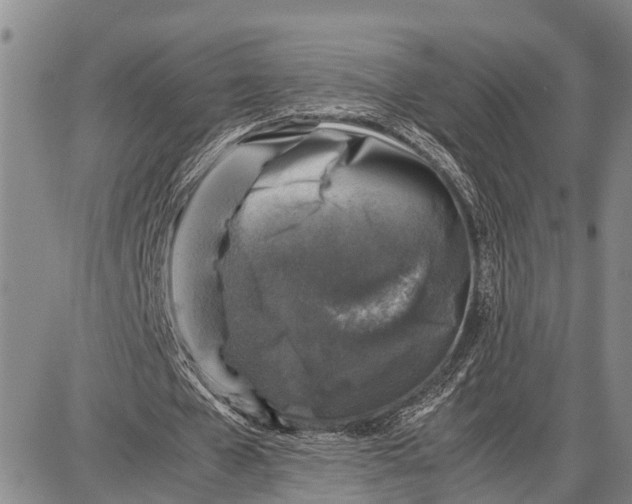 X0000087050577200705091138