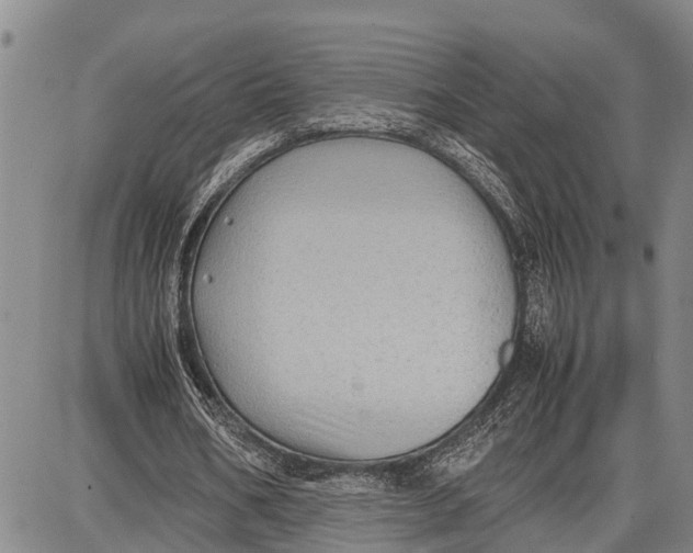 X0000087050578200705091138