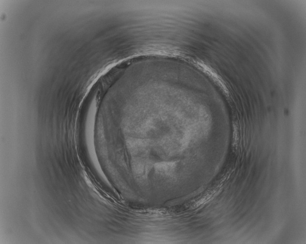 X0000087050580200705091138