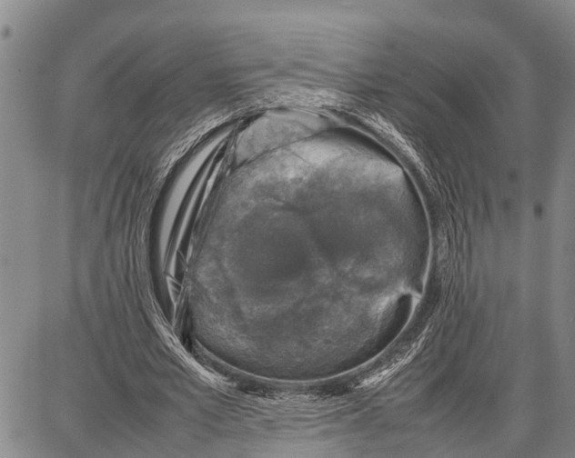 X0000087050581200705091138