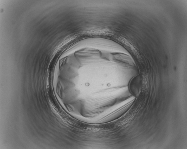 X0000087050582200705091138