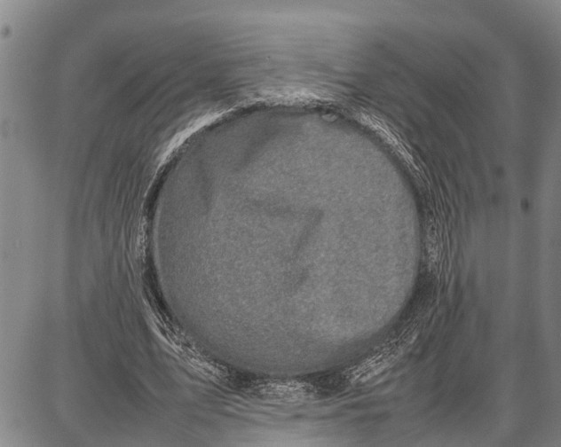 X0000087050583200705091138