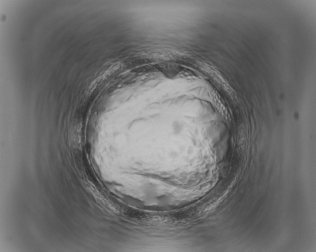 X0000087050585200705091138