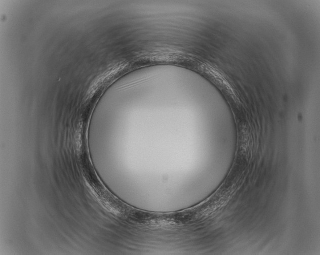 X0000087050586200705091138