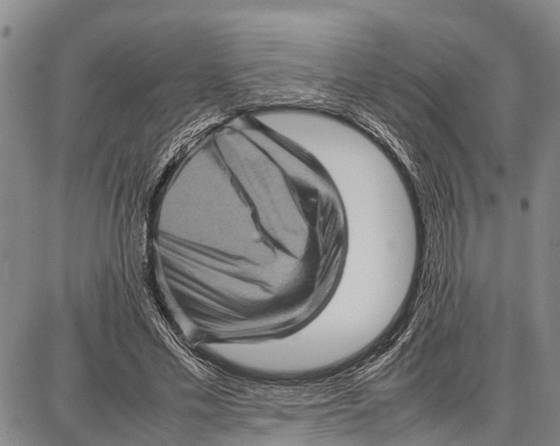 X0000087050589200705091138