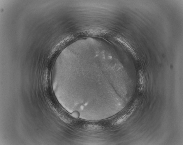 X0000087050590200705091138