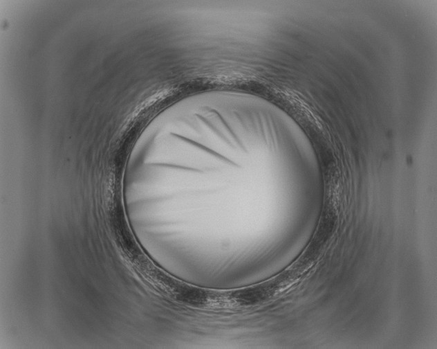 X0000087050591200705091138