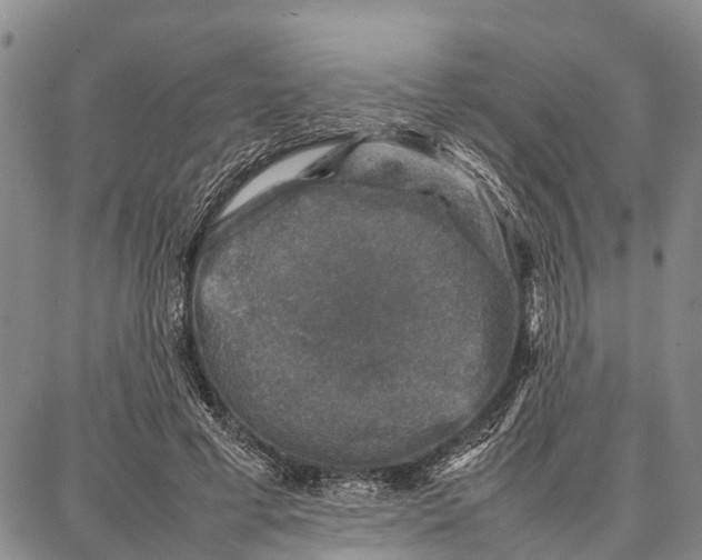 X0000087050593200705091137