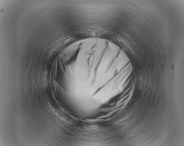 X0000087050594200705091137