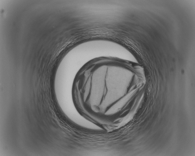 X0000087050595200705091137